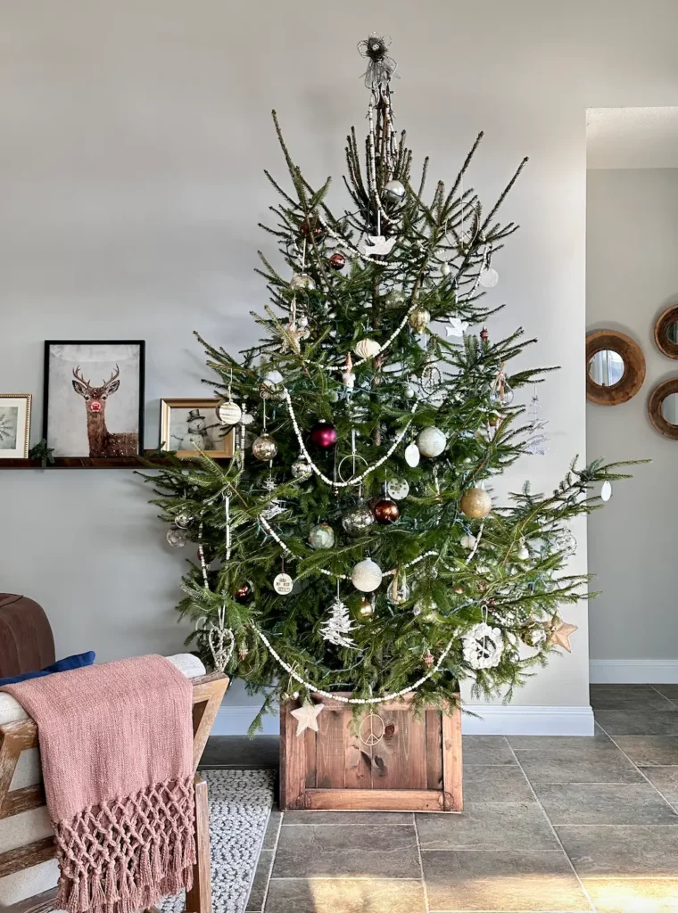 Live Christmas Tree with decorations.