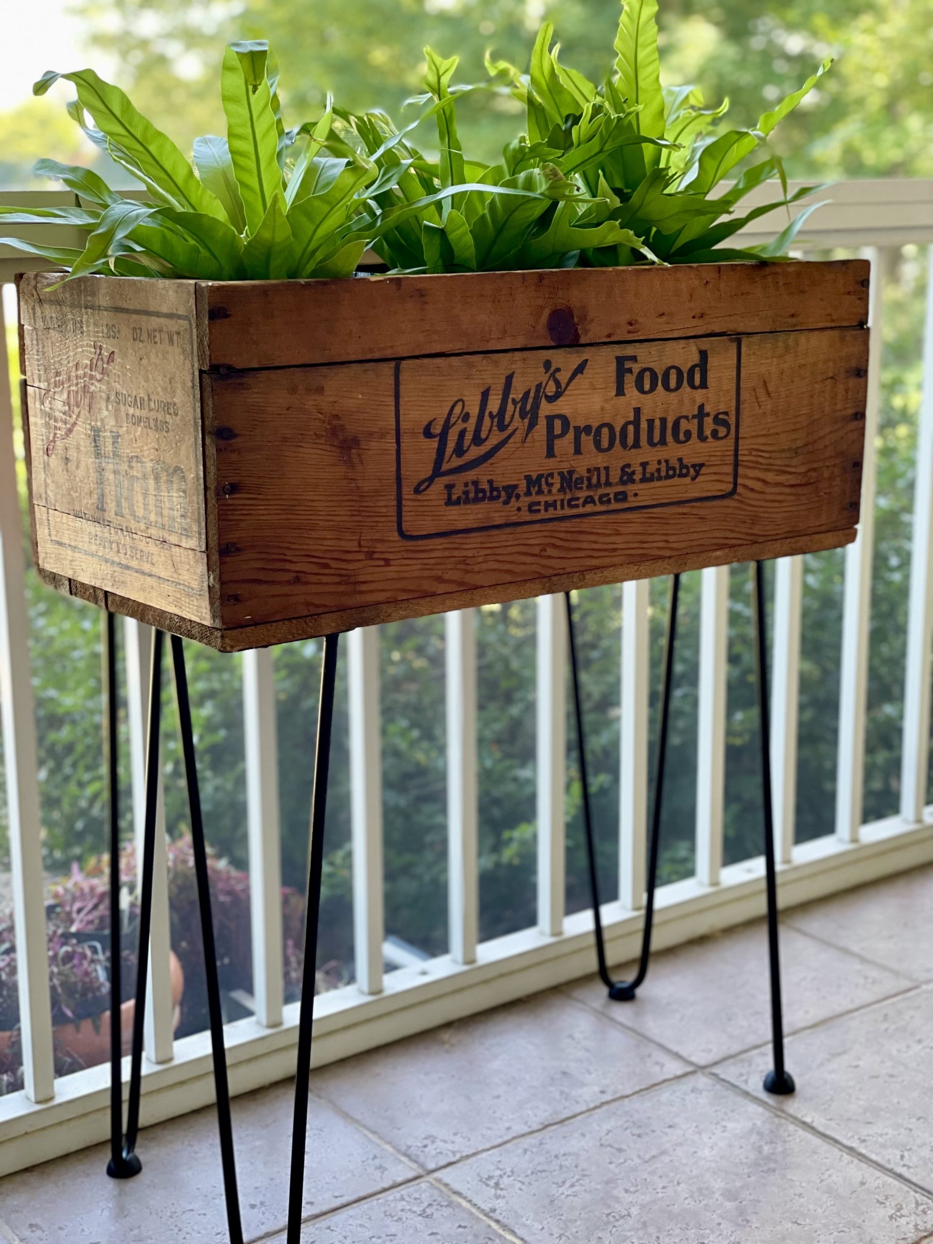 Vintage Libby's Food Crate DIY'd into Modern Plant Stand