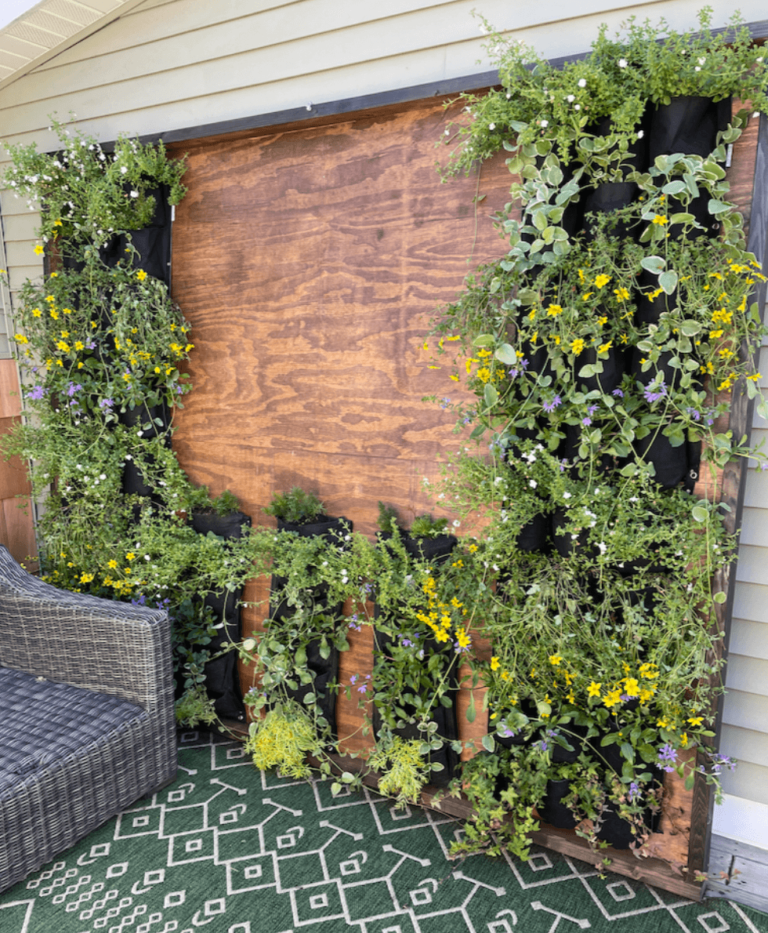 How I designed an easy DIY Outdoor Living Plant Wall - A Life Unfolding