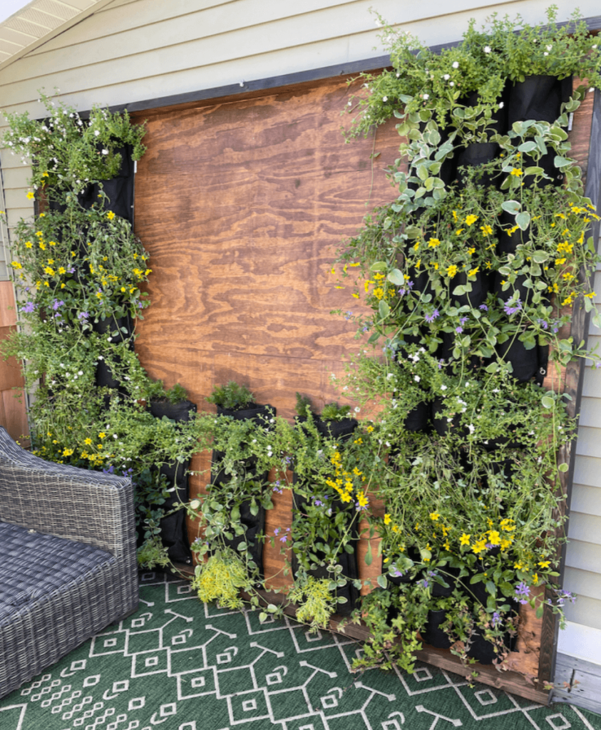 Filled plant pockets on outdoor living wall.