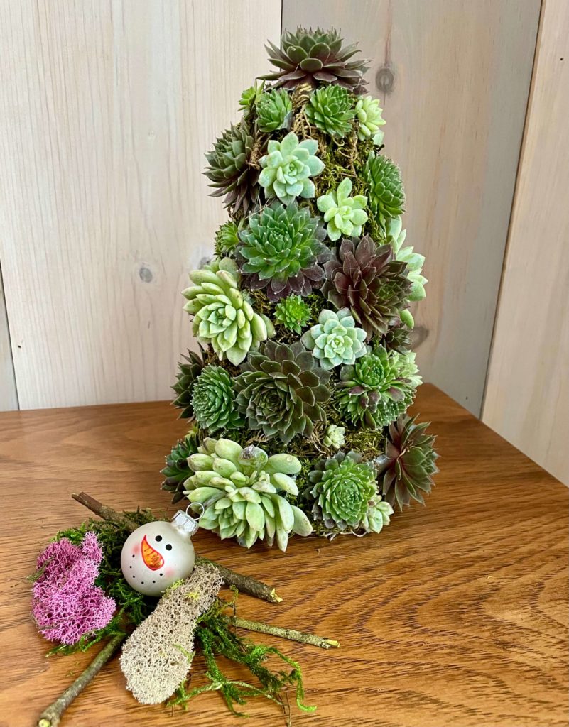 DIY Mini Succulent Christmas Tree 