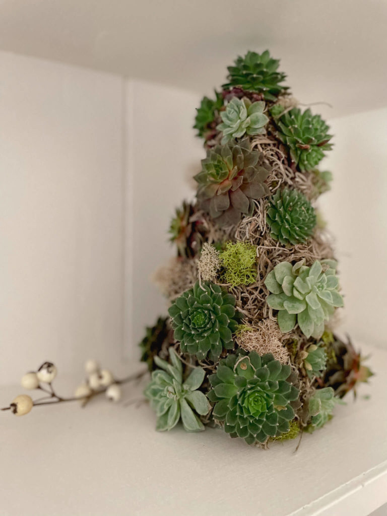 DIY Mini Succulent Tree on a Cozy Cottage Christmas Mantel