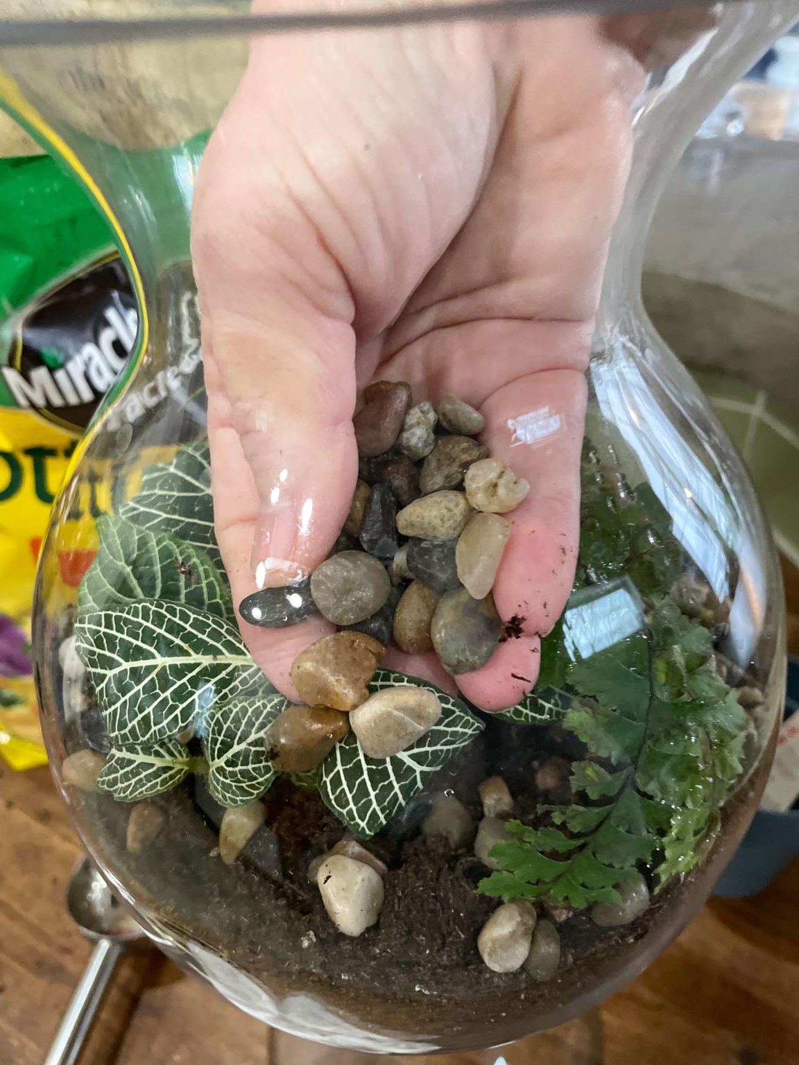 Turn A Jar Into A DIY Terrarium - A Life Unfolding