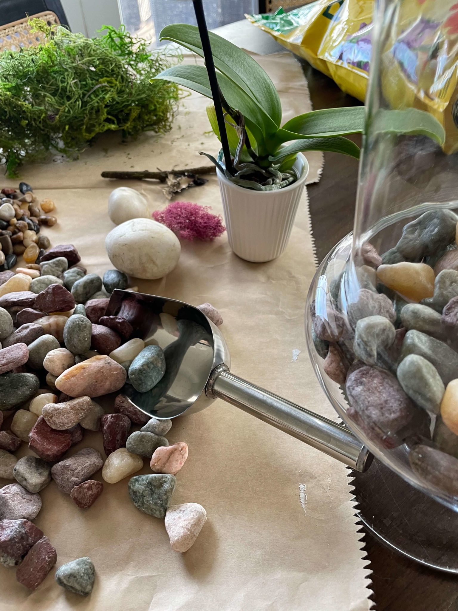 Turn A Jar Into A DIY Terrarium - A Life Unfolding