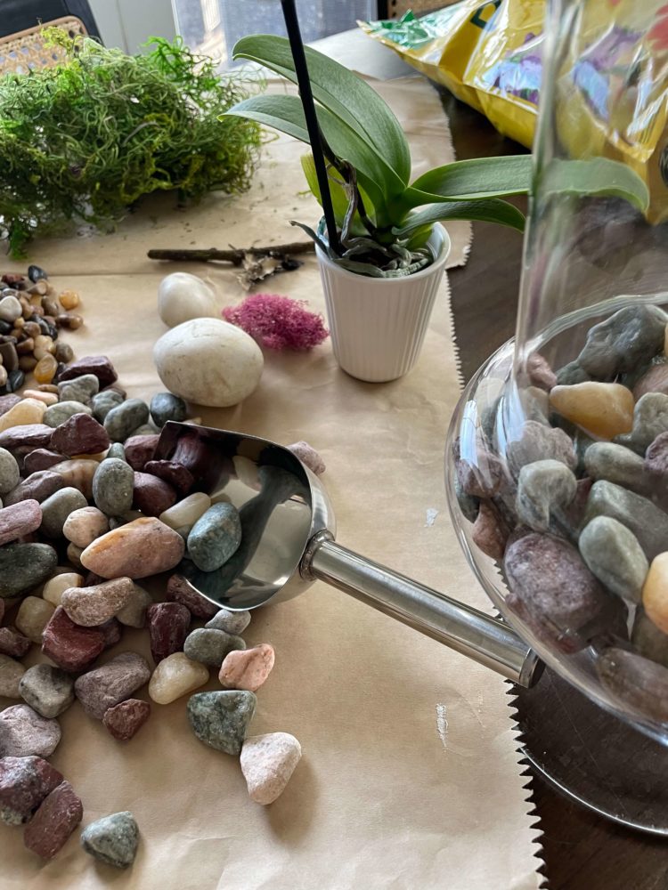 Picture of Turn A Jar Into A DIY Terrarium - A Life Unfolding