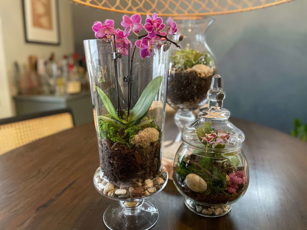 How to DIY a Terrarium. Orchids, plants and jars.