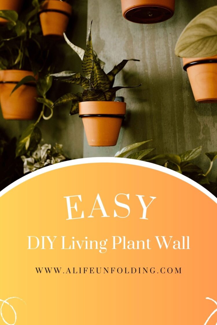 DIY Indoor Living Plant Wall A Life Unfolding