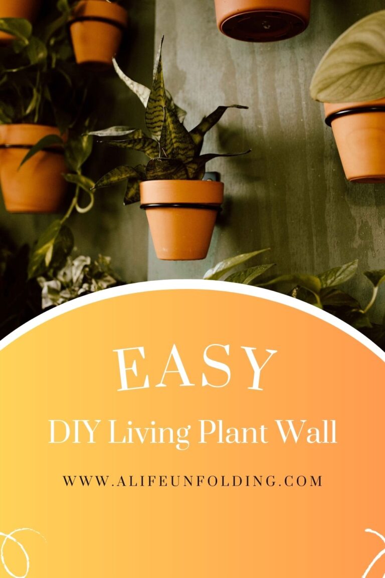 DIY Indoor Living Plant Wall A Life Unfolding