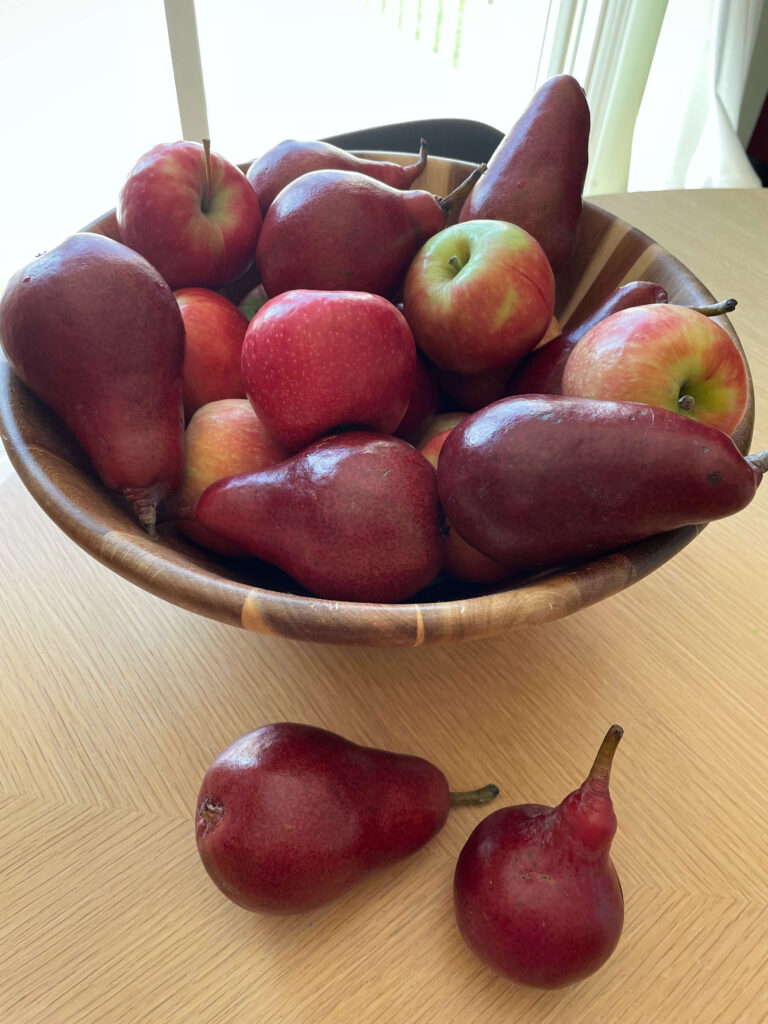 Bowl full of Red Pears and Apples