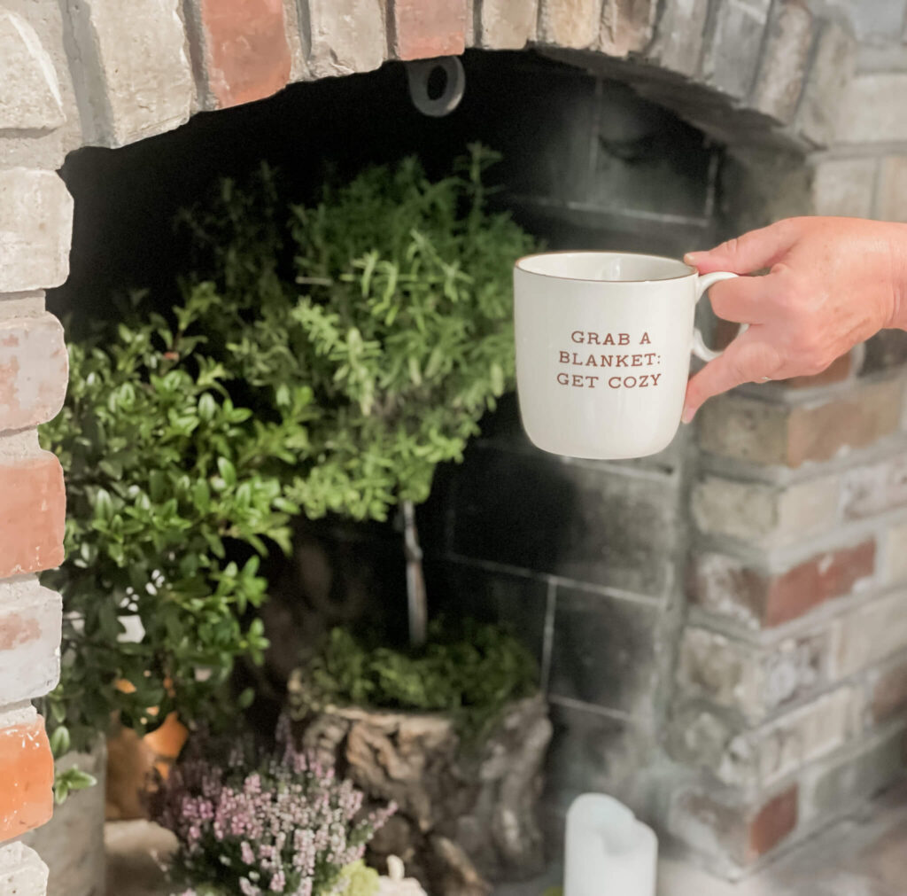 Grab a blanket and get cozy mug in front of fireplace.