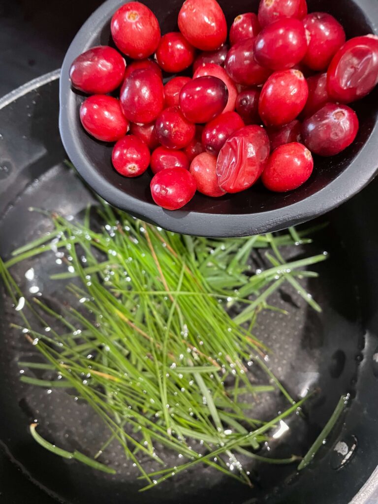 Adding cranberries for a stovetop potpourri for Christmas.