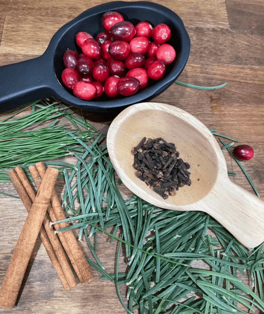 Pine needles, cinnamon sticks, cloves and cranberries for a stovetop potpourri. Simmer Pot.