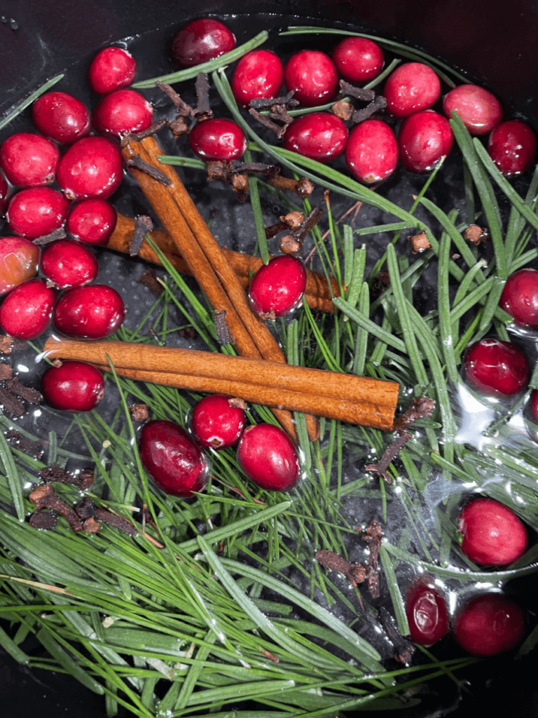 Cranberries, cinnamon sticks and cloves in a stovetop potpourri.