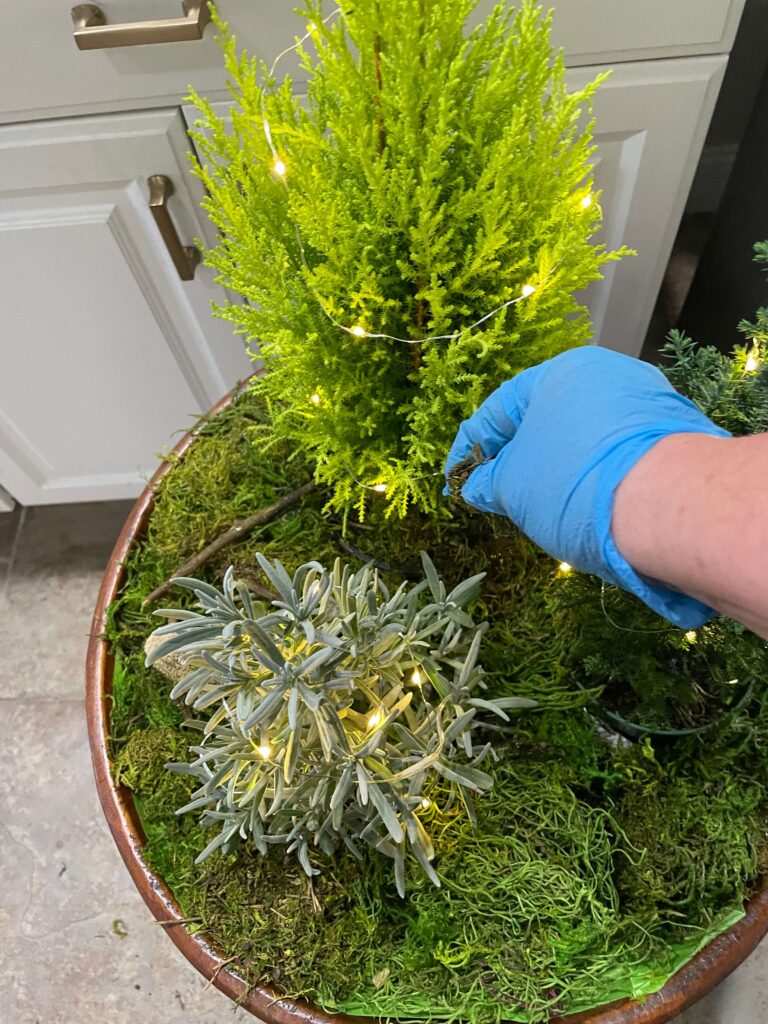 Adding moss to a Holiday Arrangement