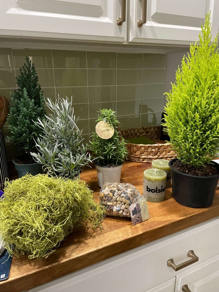 Topiary trees for Christmas Arrangement.