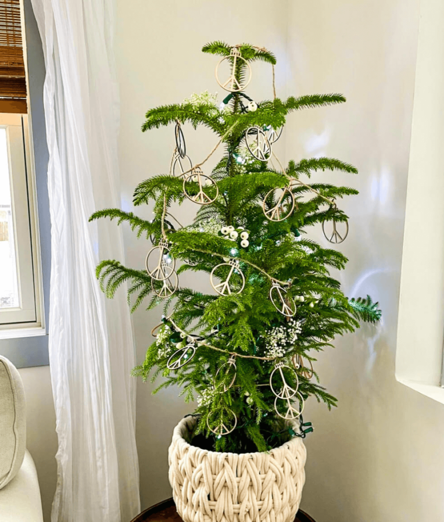 Small potted Norfolk Pine Tree decorated with baby's breath and a peace sign garland.