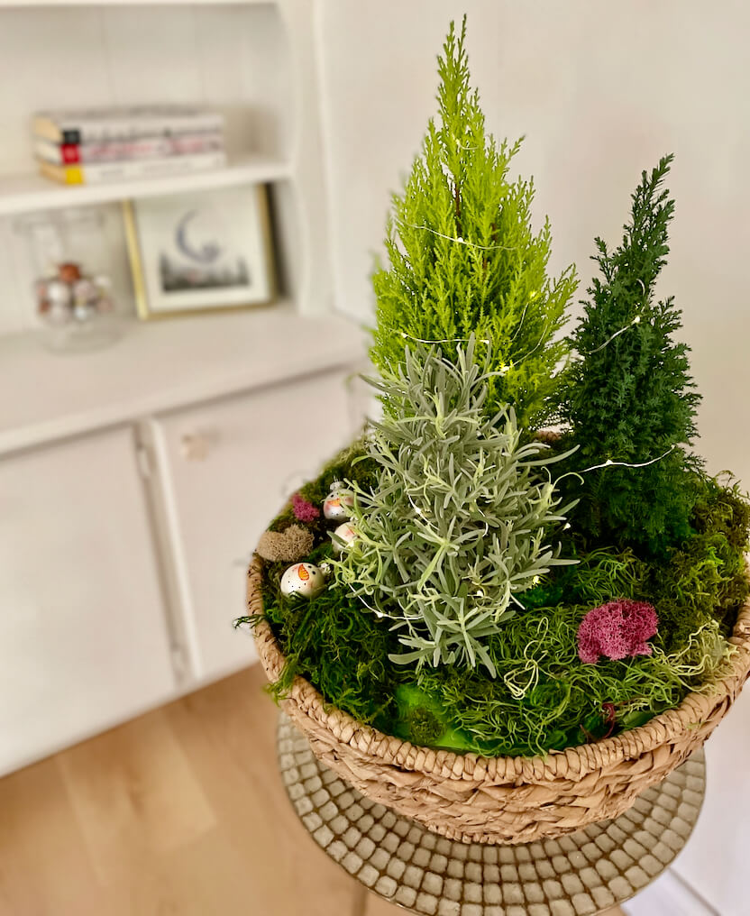 Woven basket filled with three mini topiary trees, moss and christmas ornaments.