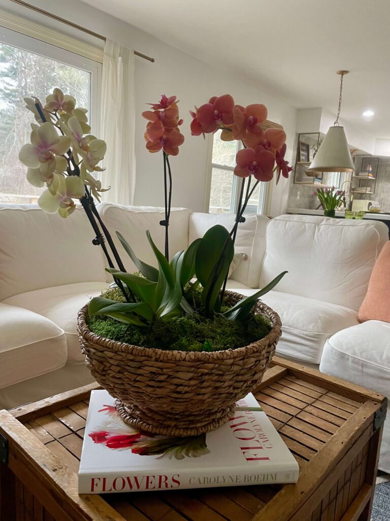 Basket filled with orchids to add a cozy vibe to your home this winter.