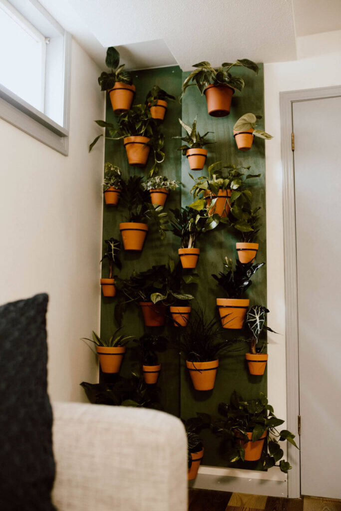 Indoor living plant wall