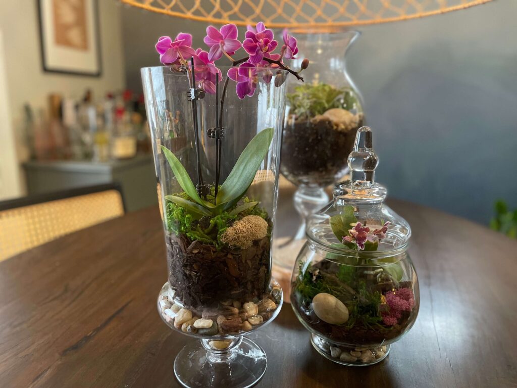 Three glass terrariums add a touch of nature to your home.