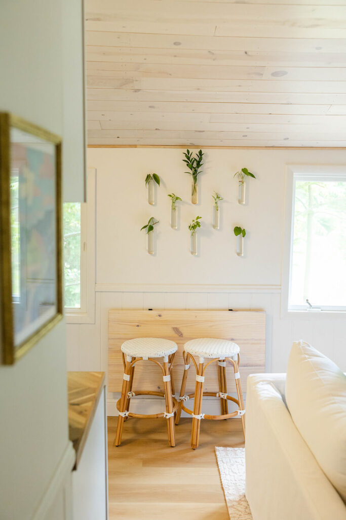 A small plant propagation wall as home decor.