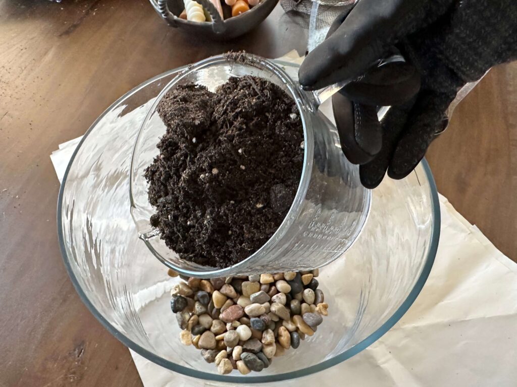 Adding Cactus Soil for a DIY terrarium.