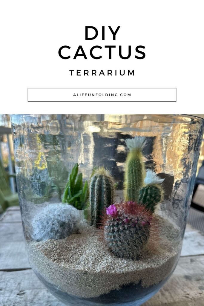 Pin for a DIY Cactus Terrarium