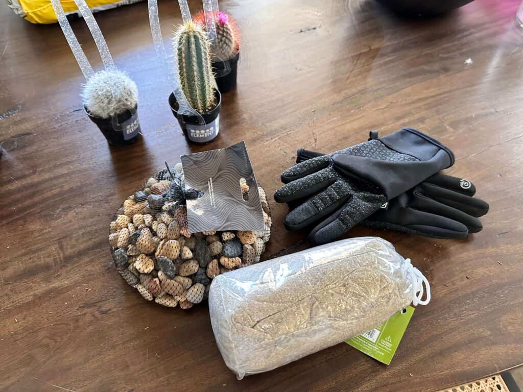 River rocks, sand, gloves and cacti. Items needed to DIY a Cactus Terrarium.