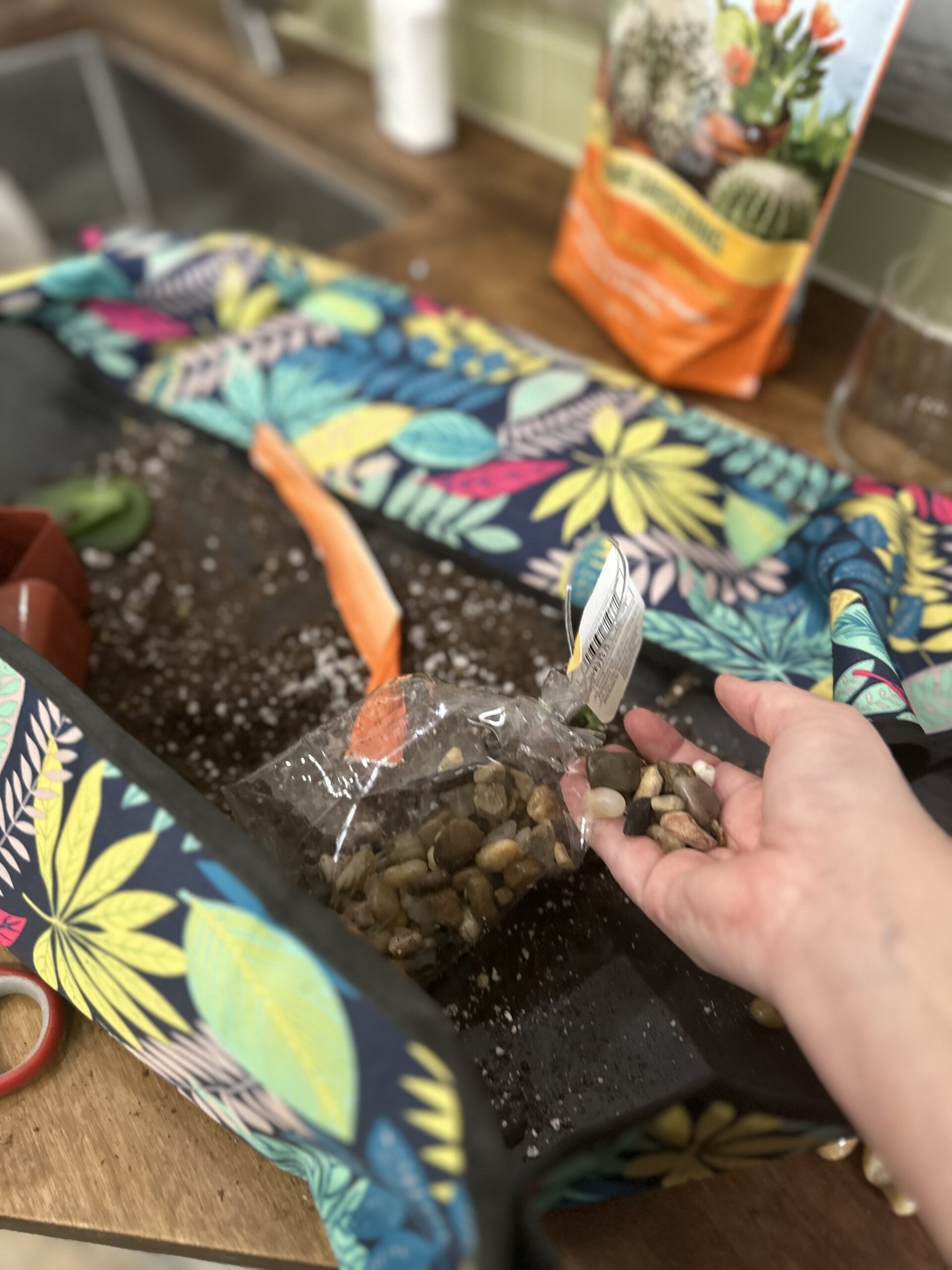How to Make a DIY Succulent Terrarium - A Life Unfolding