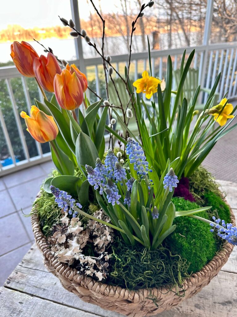 Spring bulbs in a Floral arrangement.