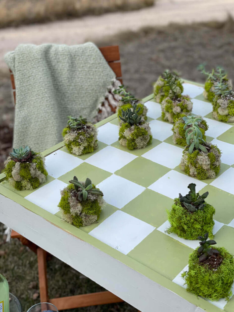 Games Pices made from Pots filled with succulents and moss.