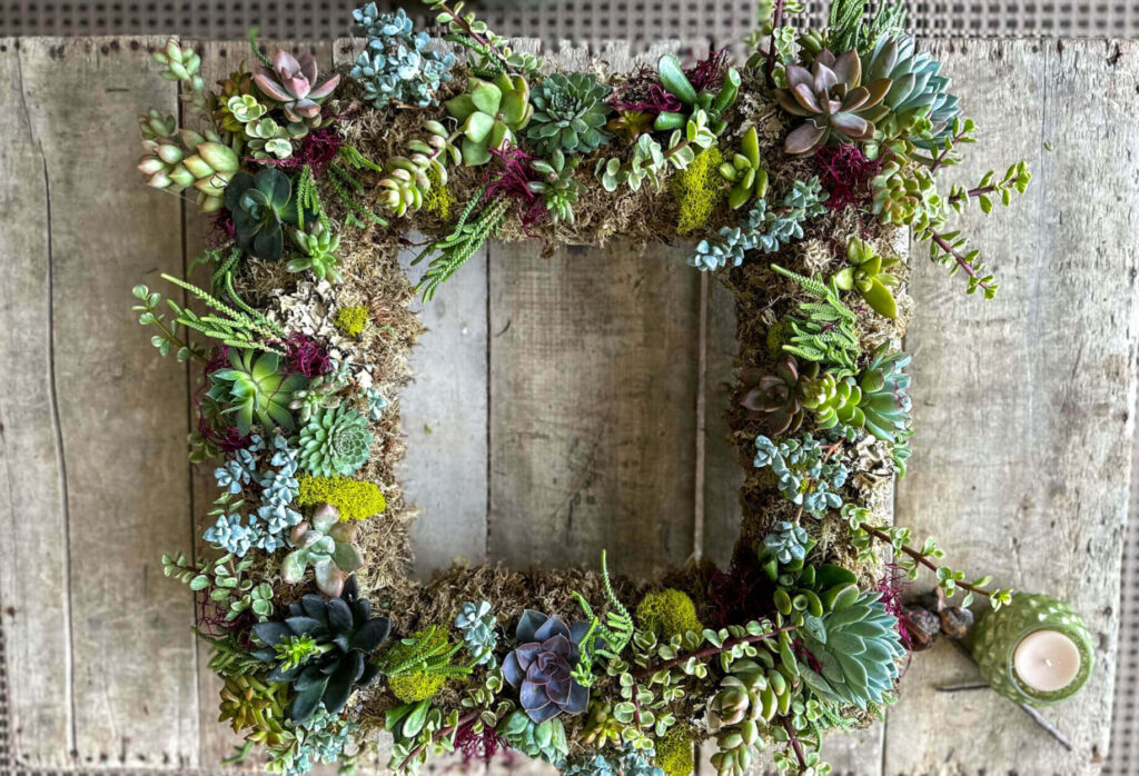 Square Wreath with Succulents and Moss