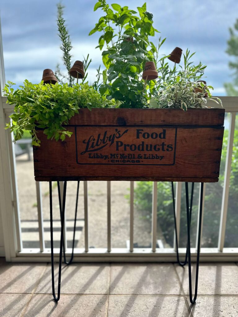 Patio container planted with herbs for a cocktail garden