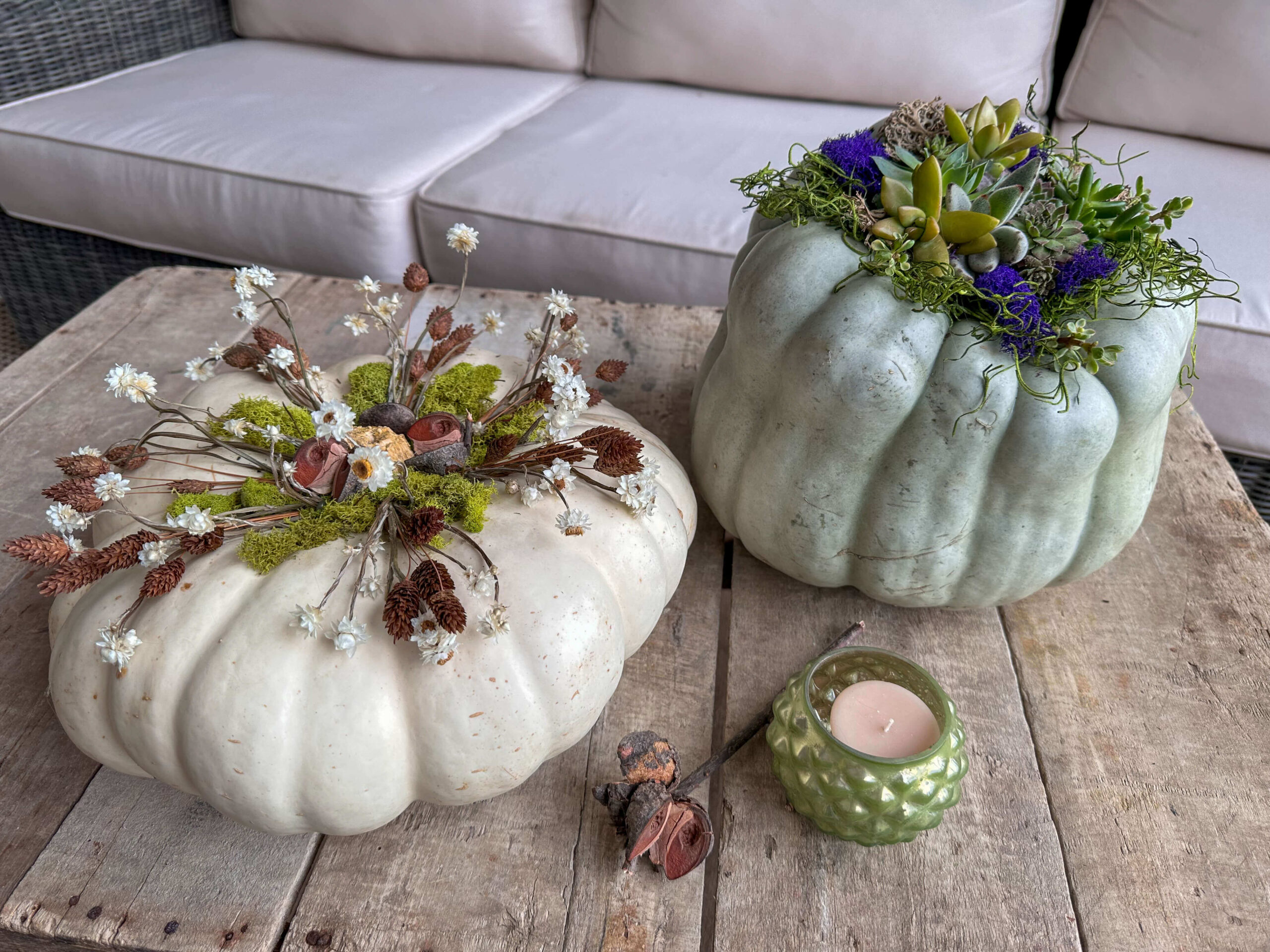 Fall Heirloom Pumpkins decorated with succulents and dried flowers