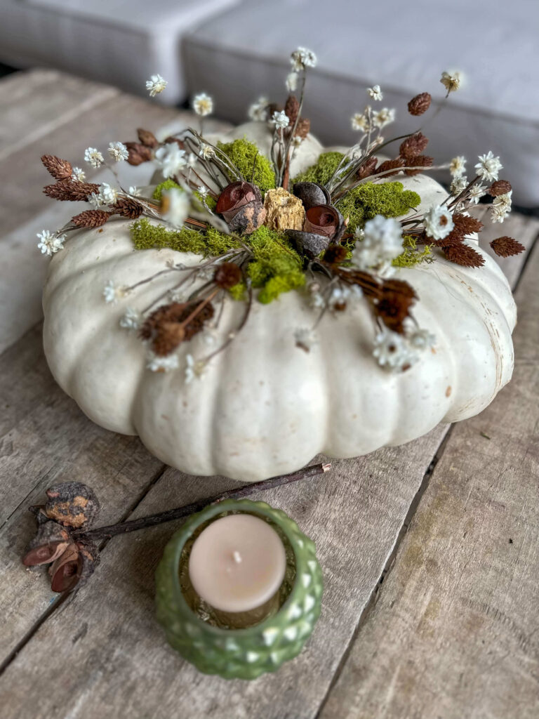 White pumpkin with dried flowers