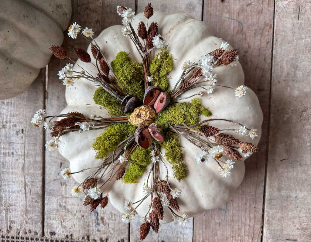 White Heirloom Pumpkin decorated with dried flowers for Fall centerpiece. #thanksgivingtablescape #fallcenterpiece #pumpkindecor