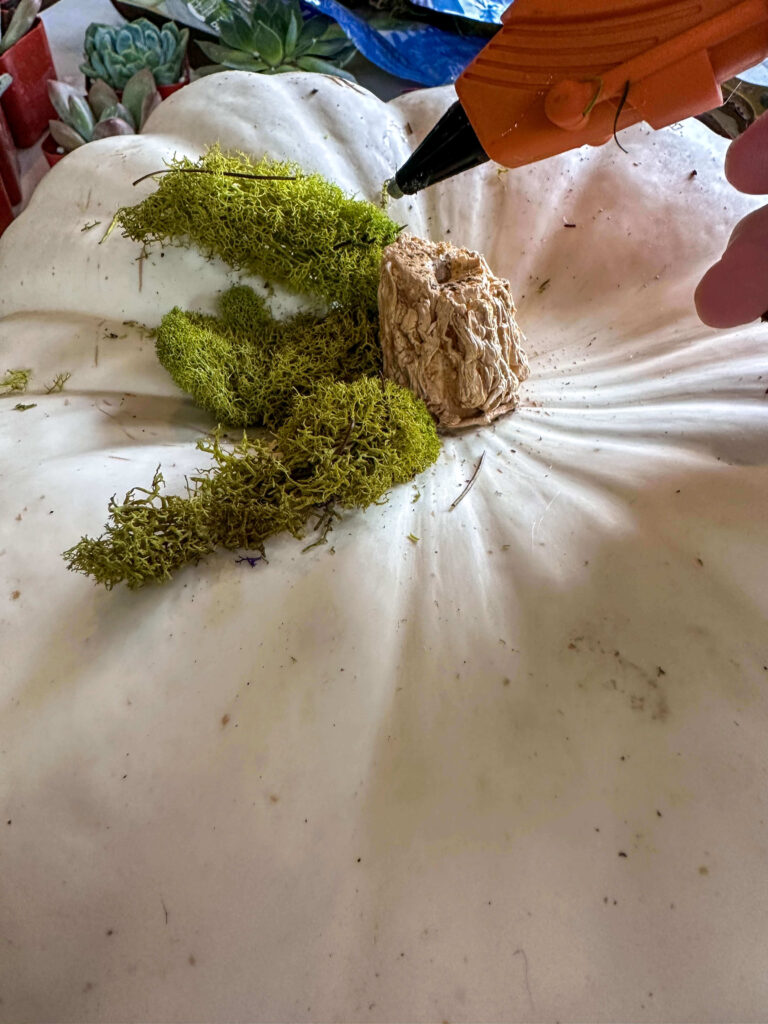 White Pumpkins and dried flowers.