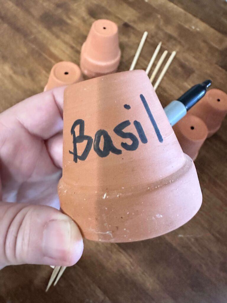 Mini Clay pot as plant markers.