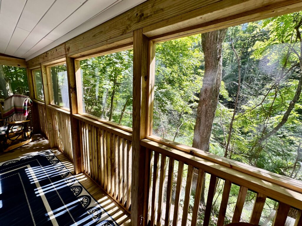 View from a rustic cottage screened in porch.