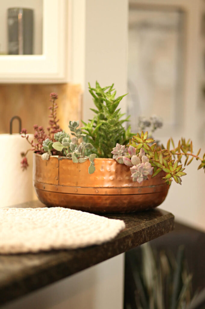 Simple copper bowl filled with succulents for fall.