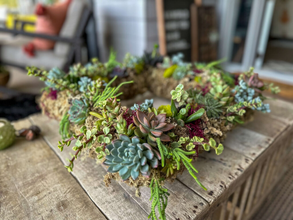 Fall Square Wreath made from Succulents and Moss. Fall Decor Inspired by Nature.