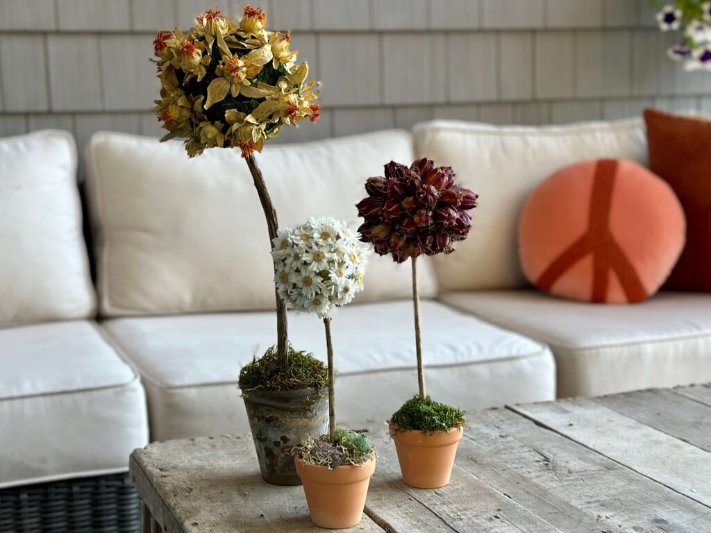 Dried flower and moss topiaries