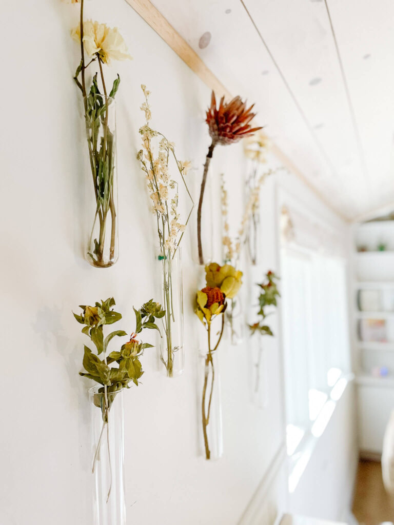 Dried Flowers in Glass Vases