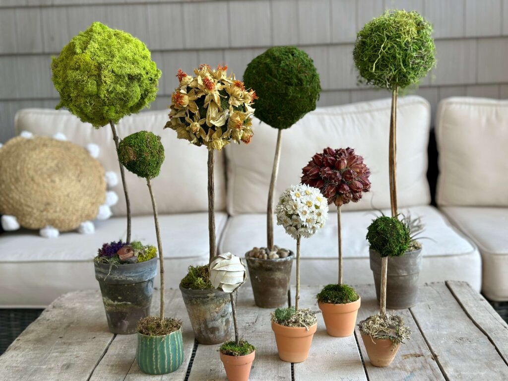 How to make Topiaries from Dried Flowers and Moss