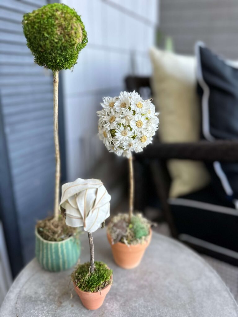 Mini Topiaries with dried flowers and moss