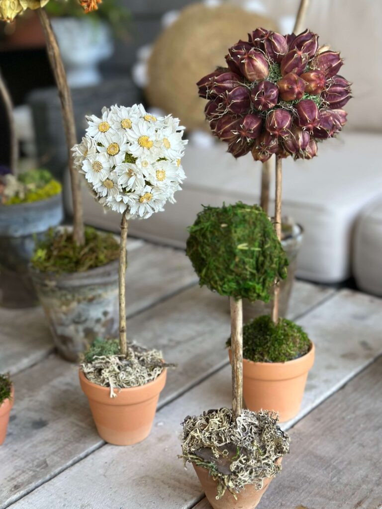 DIY Topiaries with dried flowers and moss.