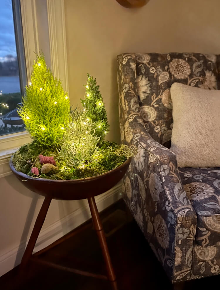 Vintage bowl filled with live mini trees decorated for the holidays.