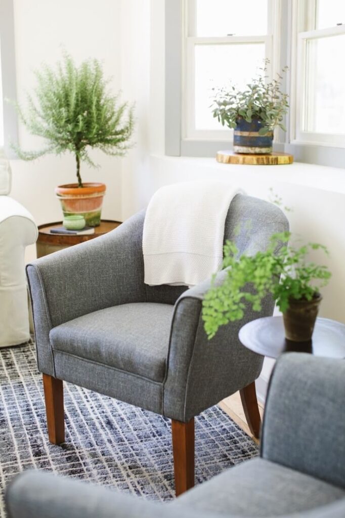 Light filled room with plants in a Biophilic Design.