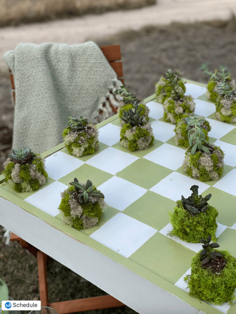 Green and white Checkerboard table with succulent game pieces.