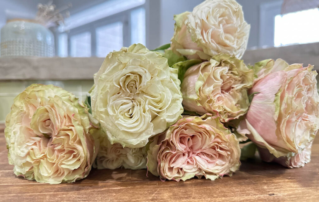 Garden Roses for a DIY Arrangement